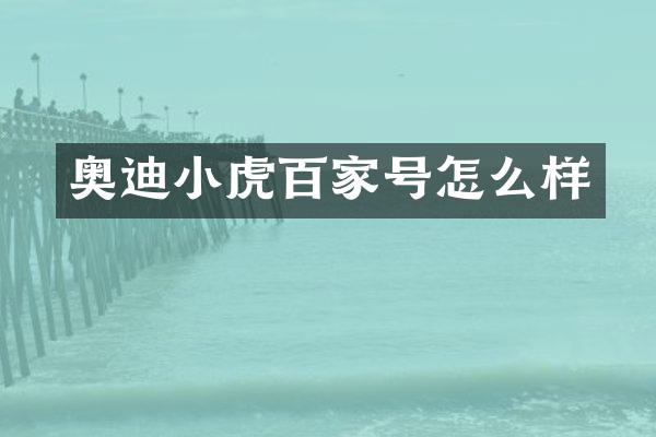 奥迪小虎百家号怎么样