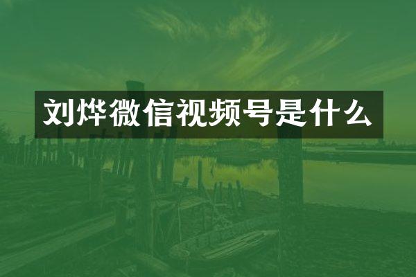 刘烨微信视频号是什么