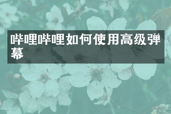 哔哩哔哩如何使用高级弹幕