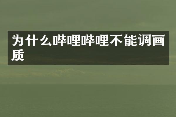 为什么哔哩哔哩不能调画质