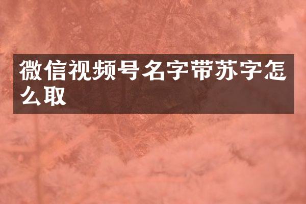 微信视频号名字带苏字怎么取