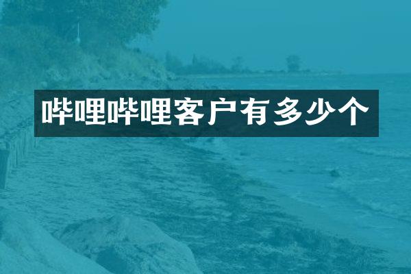 哔哩哔哩客户有多少个