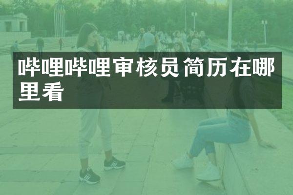 哔哩哔哩审核员简历在哪里看
