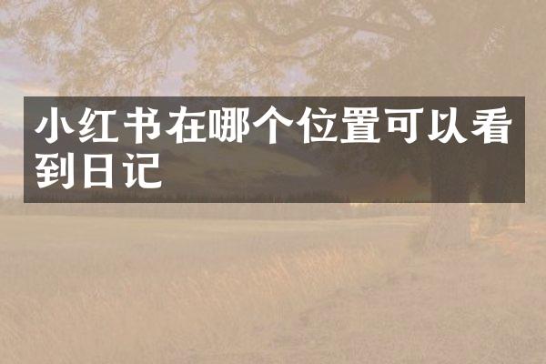 小红书在哪个位置可以看到日记