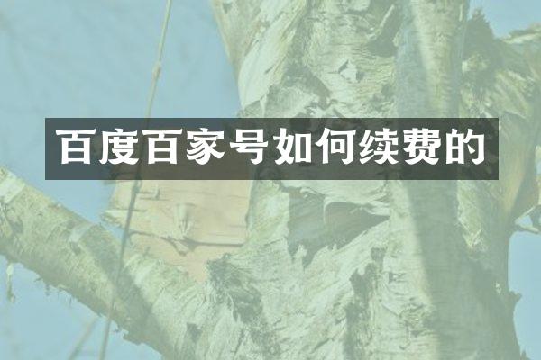 百度百家号如何续费的