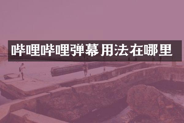 哔哩哔哩弹幕用法在哪里