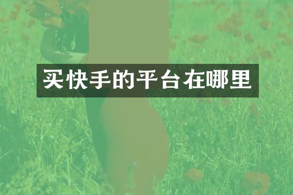买快手的平台在哪里