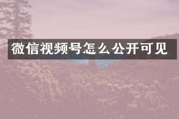 微信视频号怎么公开可见