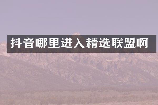 抖音哪里进入精选联盟啊