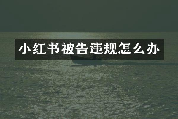 小红书被告违规怎么办