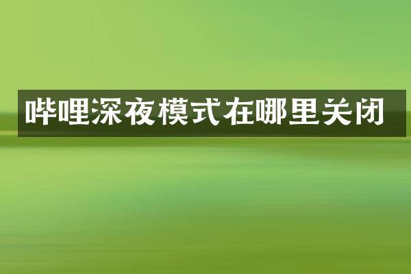 哔哩深夜模式在哪里关闭