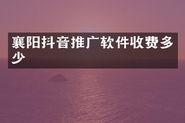 襄阳抖音推广软件收费多少