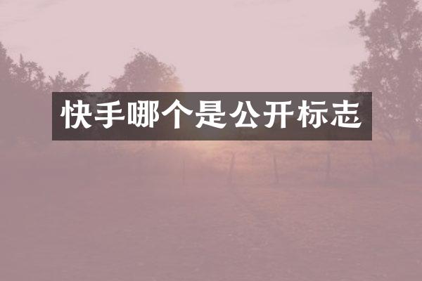 快手哪个是公开标志
