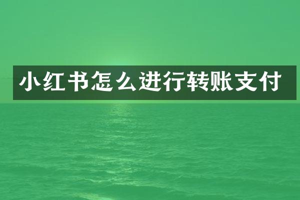 小红书怎么进行转账支付