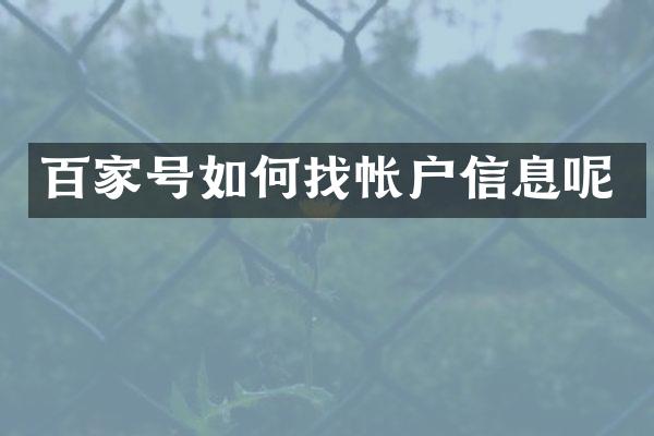 百家号如何找帐户信息呢