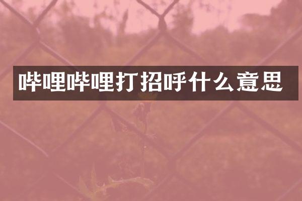 哔哩哔哩打招呼什么意思