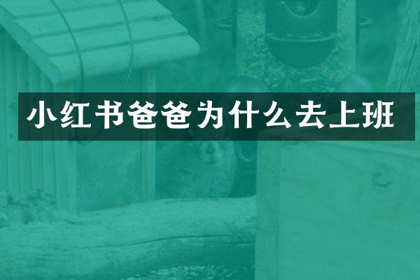 小红书爸爸为什么去上班