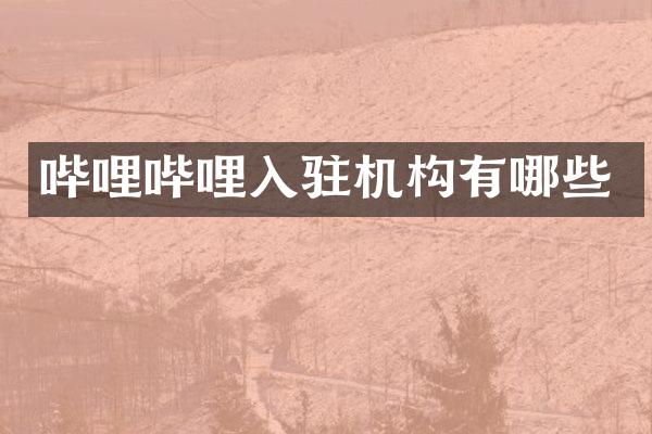 哔哩哔哩入驻机构有哪些
