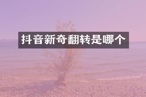 抖音新奇翻转是哪个