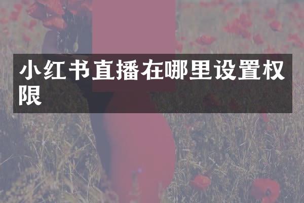 小红书直播在哪里设置权限