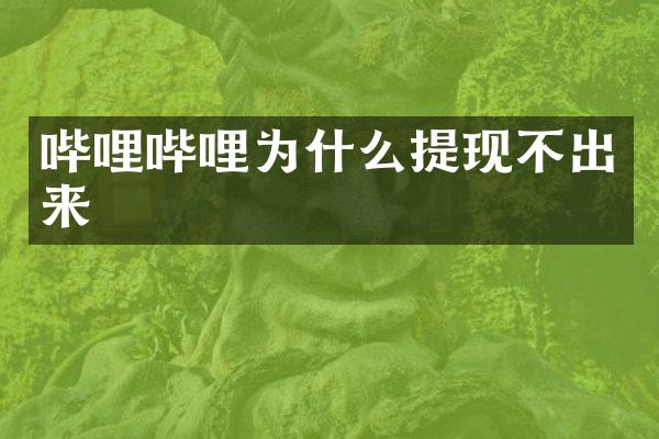 哔哩哔哩为什么提现不出来