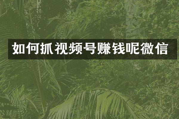 如何抓视频号赚钱呢微信