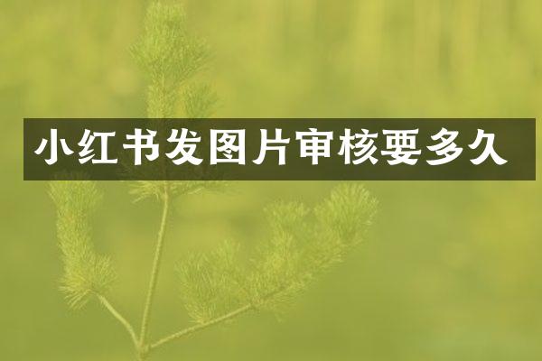 小红书发图片审核要多久