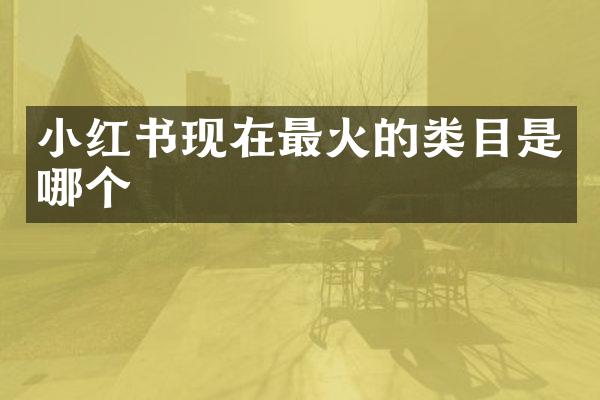 小红书现在最火的类目是哪个