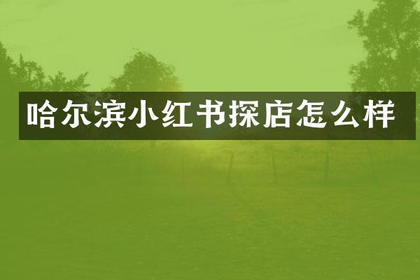 哈尔滨小红书探店怎么样