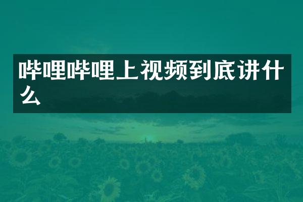 哔哩哔哩上视频到底讲什么