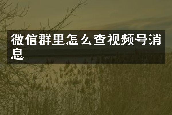 微信群里怎么查视频号消息