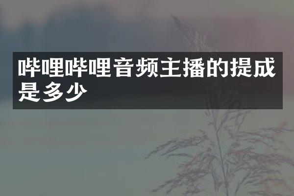 哔哩哔哩音频主播的是多少