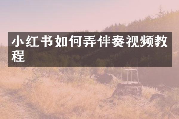 小红书如何弄伴奏视频教程