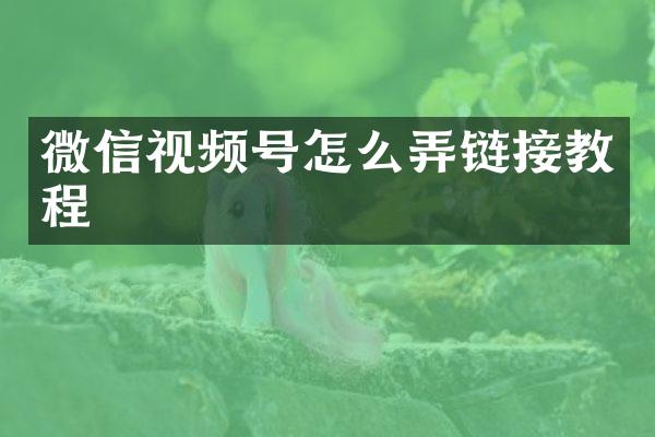 微信视频号怎么弄链接教程