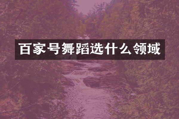 百家号舞蹈选什么领域