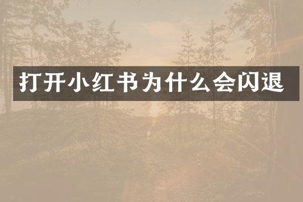 打开小红书为什么会闪退