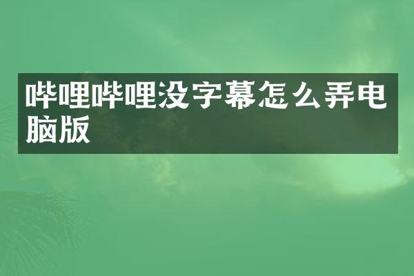 哔哩哔哩没字幕怎么弄电脑版