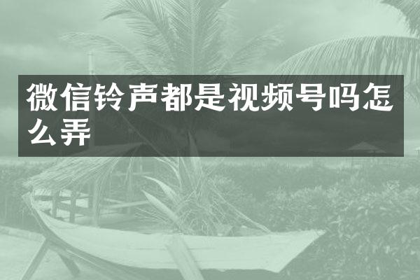 微信铃声都是视频号吗怎么弄