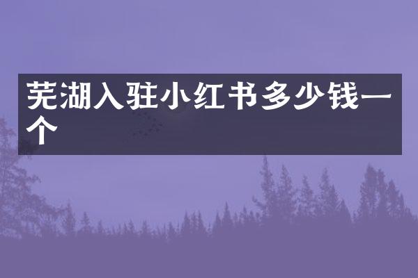芜湖入驻小红书多少钱一个