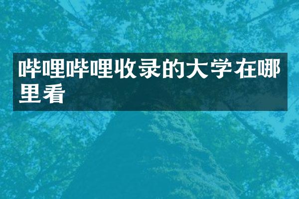 哔哩哔哩收录的大学在哪里看