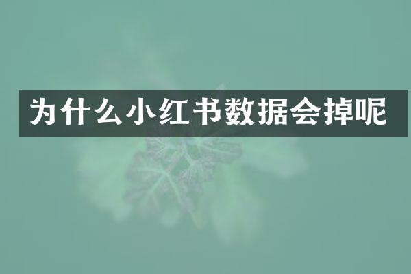 为什么小红书数据会掉呢