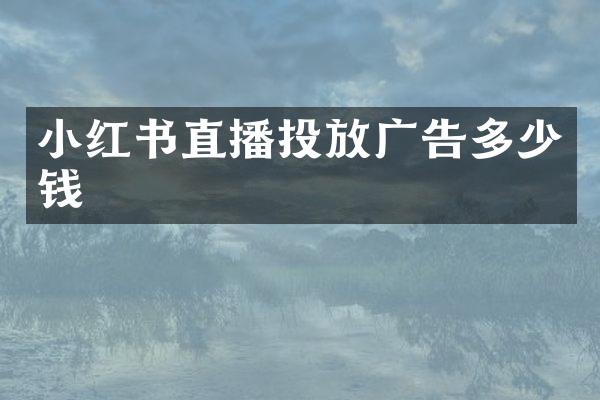 小红书直播投放广告多少钱