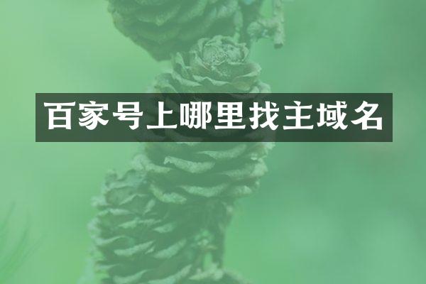 百家号上哪里找主域名