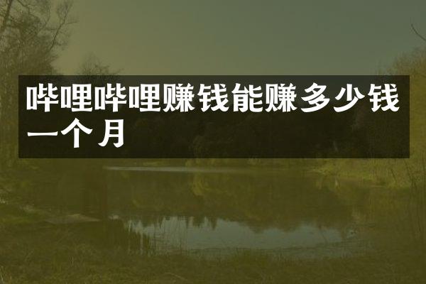 哔哩哔哩赚钱能赚多少钱一个月