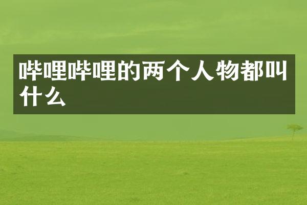 哔哩哔哩的两个人物都叫什么