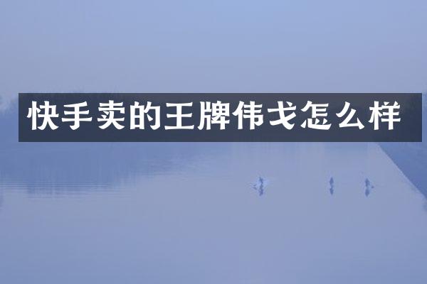 快手卖的王牌伟戈怎么样