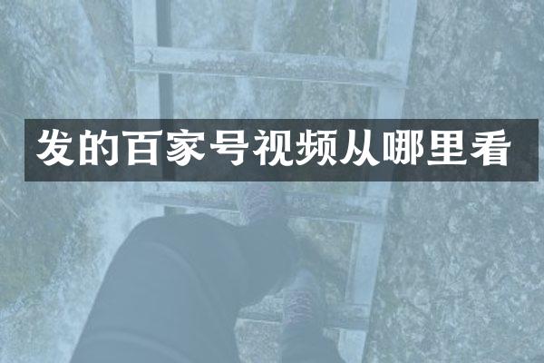 发的百家号视频从哪里看