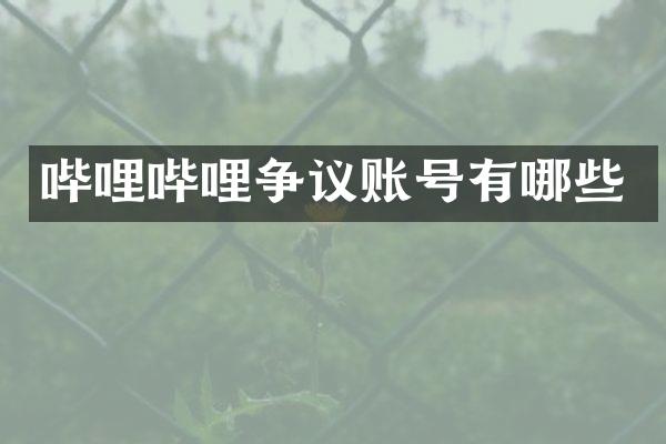 哔哩哔哩争议账号有哪些