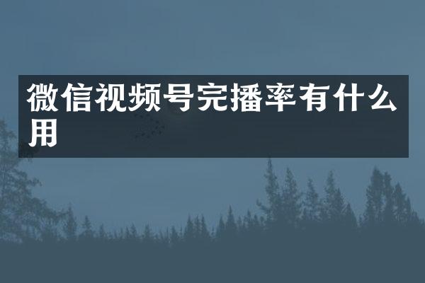 微信视频号完播率有什么用