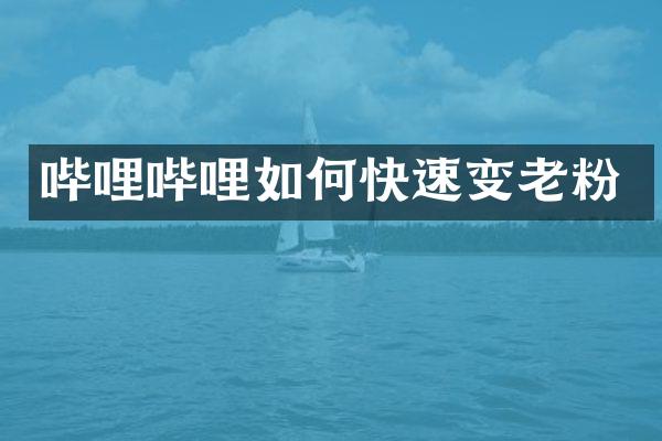 哔哩哔哩如何快速变老粉